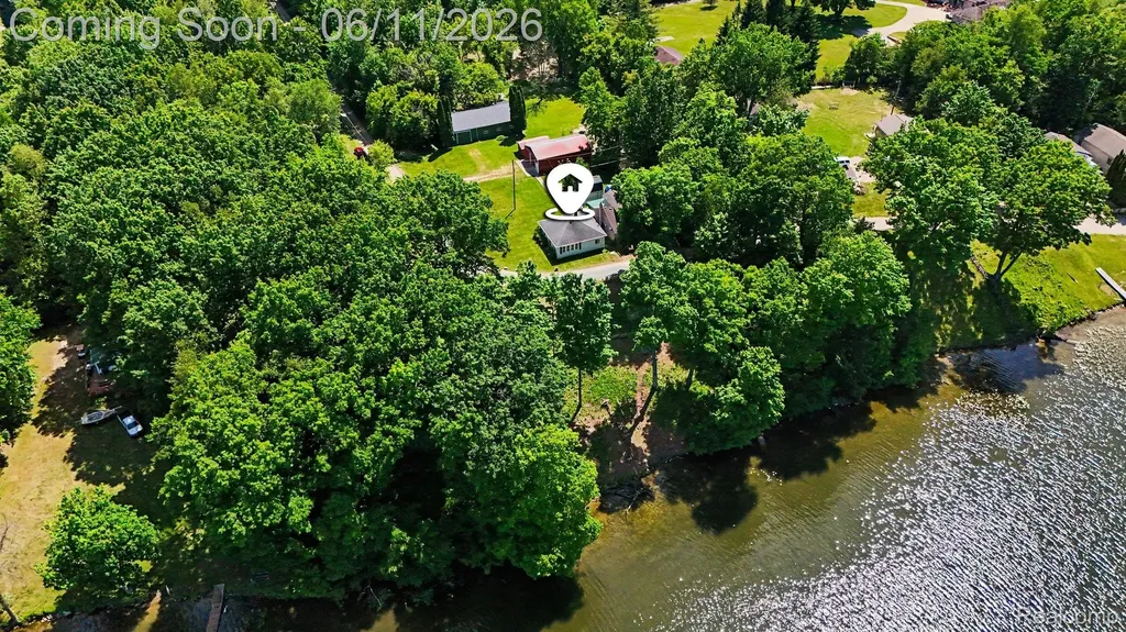 3931 S Shore Drive Elba Township MI 48446
