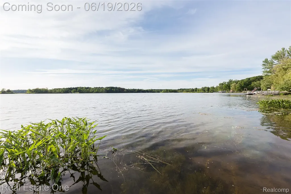 11459 Patterson Lake Drive Putnam Township MI 48169