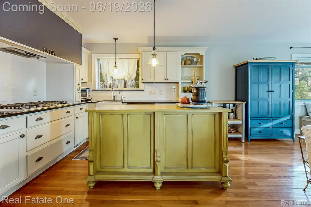 11459 Patterson Lake Drive Putnam Township MI 48169