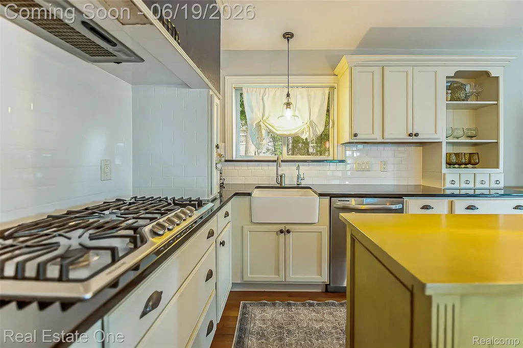 11459 Patterson Lake Drive Putnam Township MI 48169