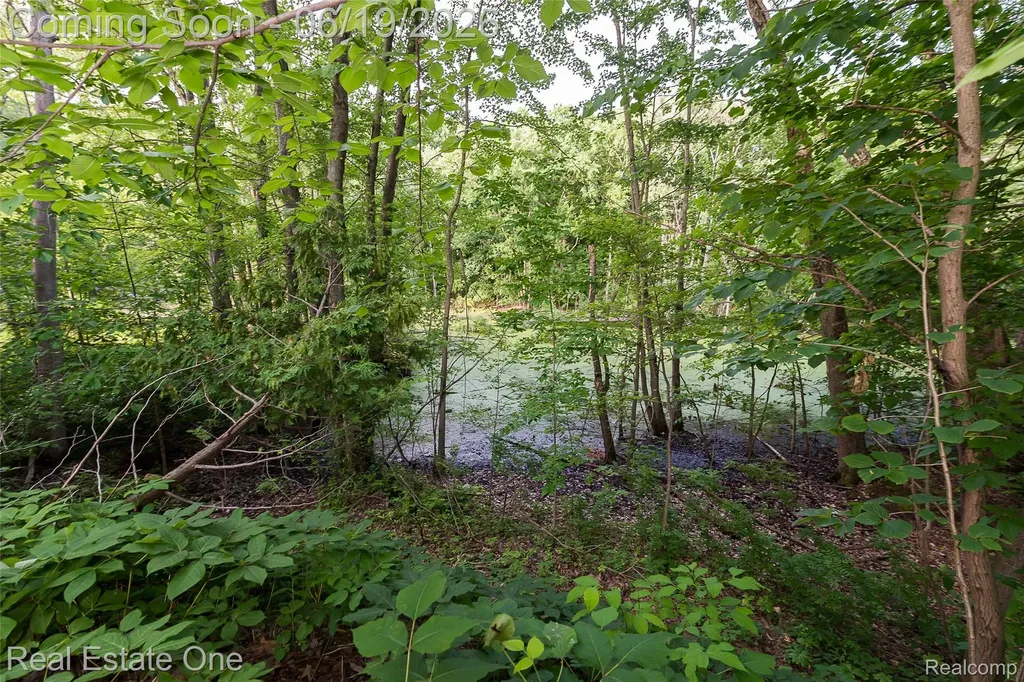 11459 Patterson Lake Drive Putnam Township MI 48169