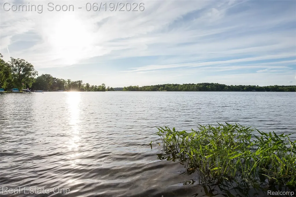 11459 Patterson Lake Drive Putnam Township MI 48169