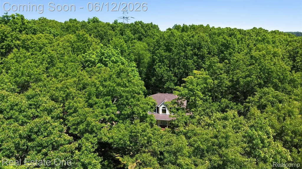 3559 Perry Lake Road Brandon Charter Township MI 48462