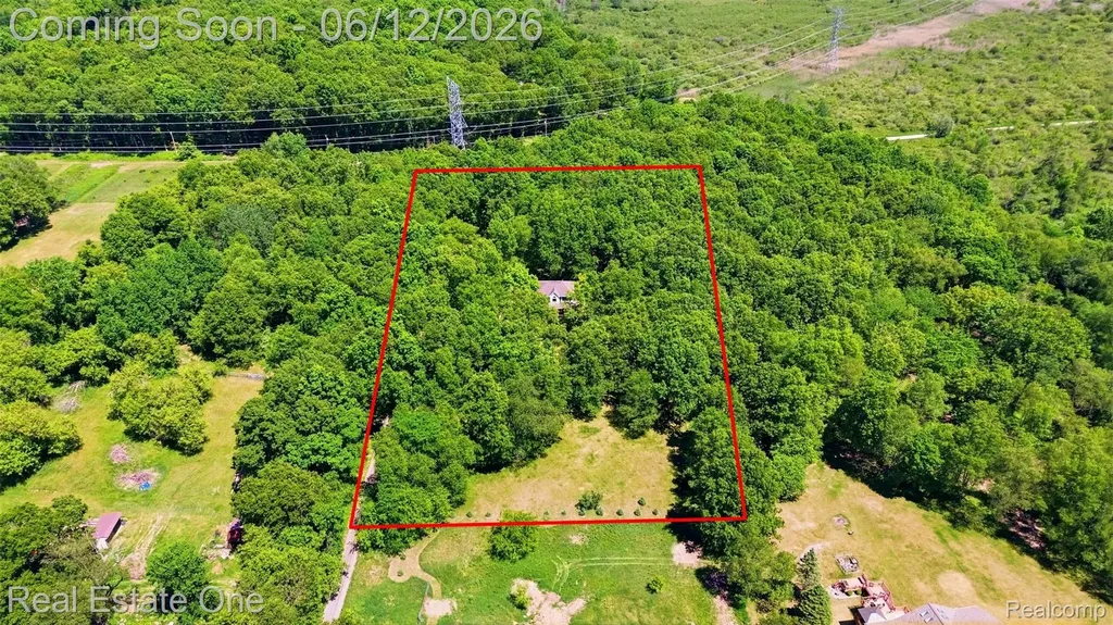 3559 Perry Lake Road Brandon Charter Township MI 48462