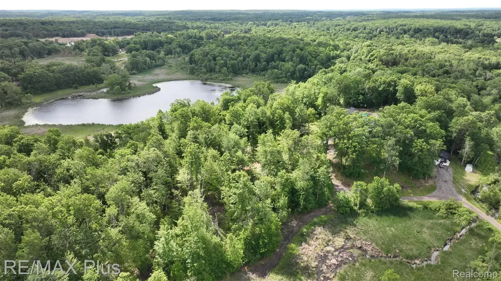 381 Miller Lake Road Deerfield Township MI 48421