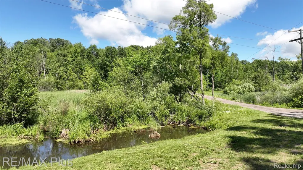 381 Miller Lake Road Deerfield Township MI 48421