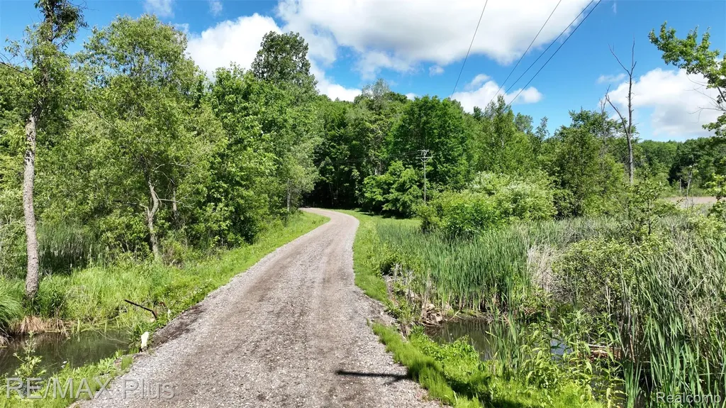 381 Miller Lake Road Deerfield Township MI 48421