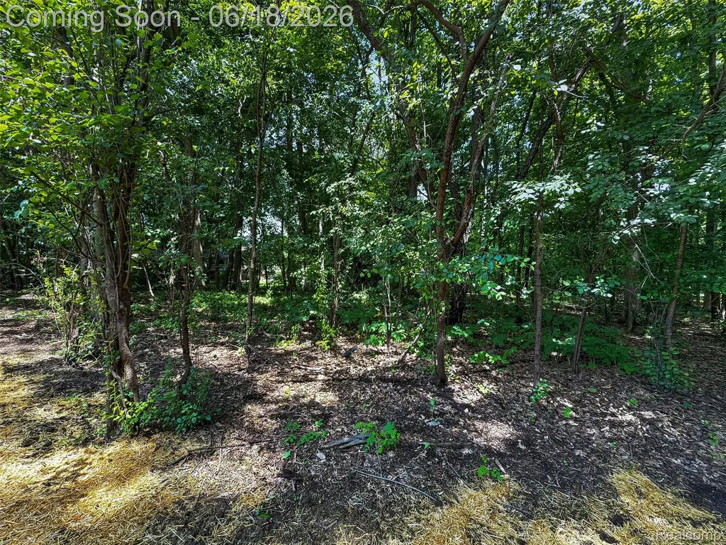 1366 Conge Drive Bloomfield Charter Township MI 48304