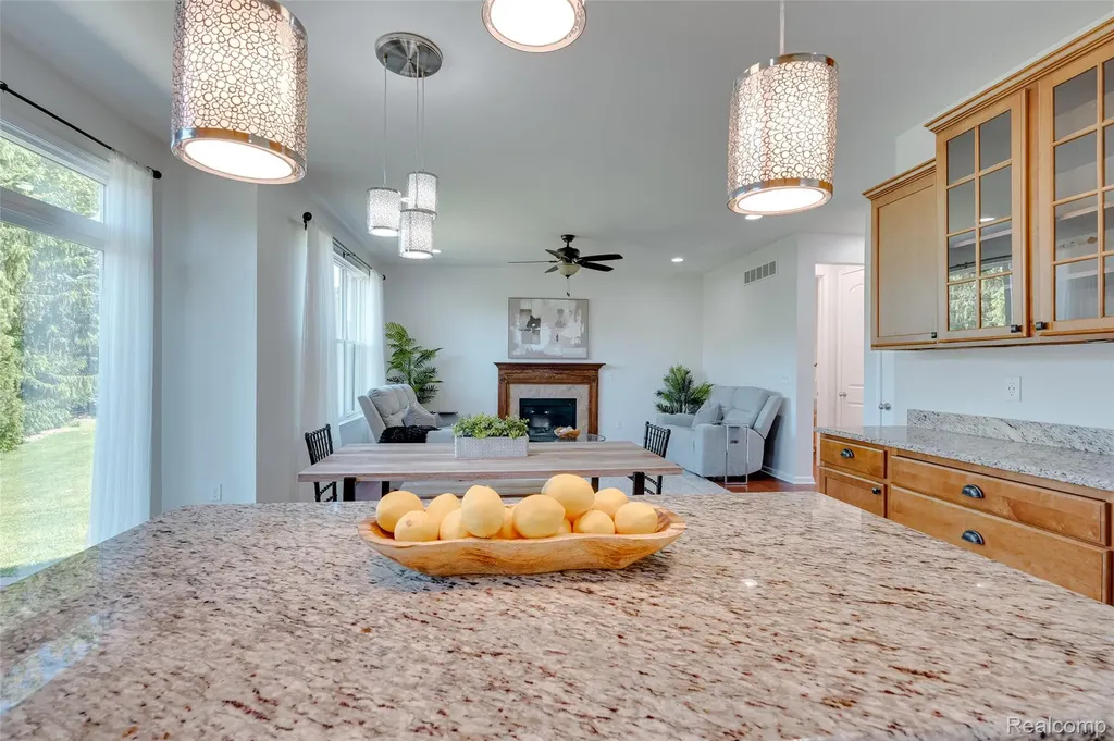 28386 Cottage Lane Lyon Charter Township MI 48165