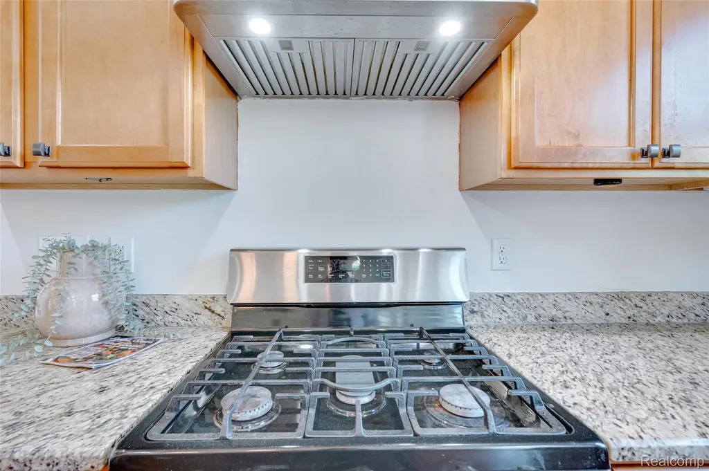 28386 Cottage Lane Lyon Charter Township MI 48165