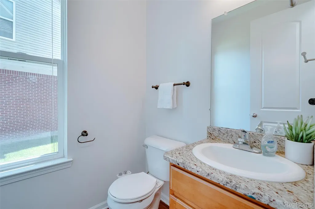 28386 Cottage Lane Lyon Charter Township MI 48165