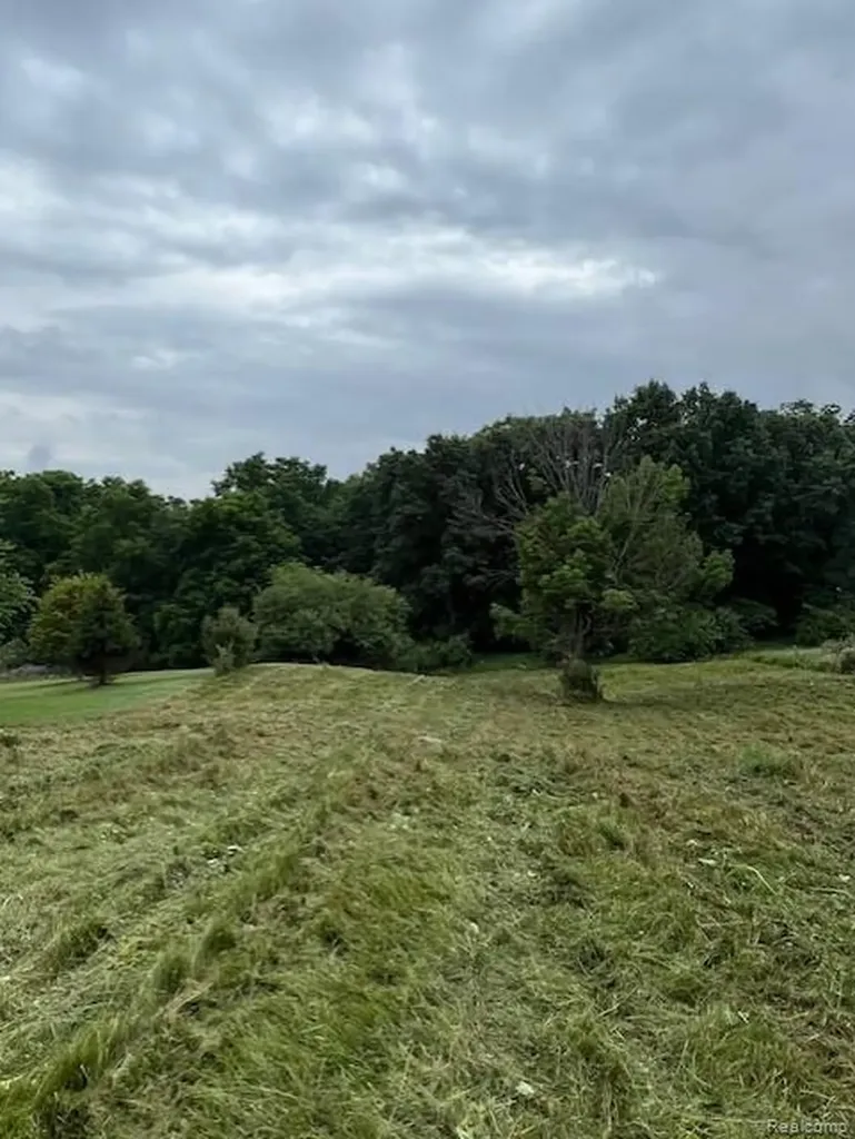 5853 Saratoga Drive Metamora Township MI 48371