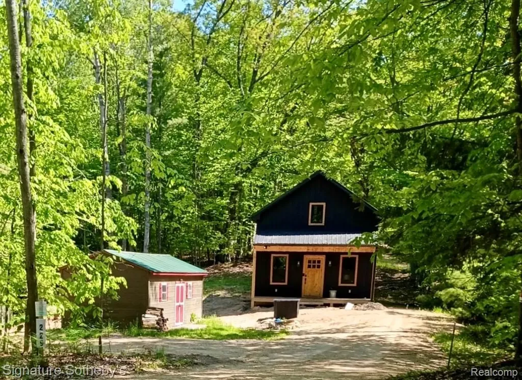 229 Forest Trail Rose Lake Township MI 49655