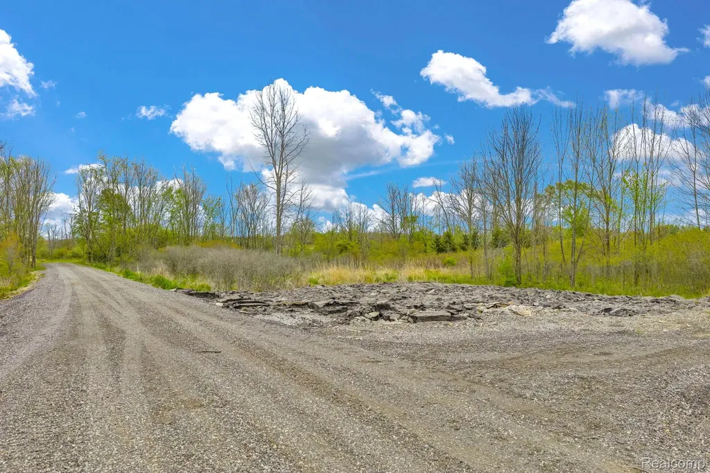 0 Martin Road Mussey Township MI 48014