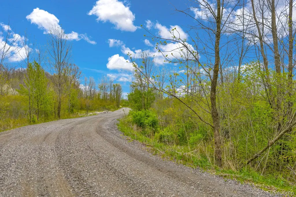 0 Martin Road Mussey Township MI 48014