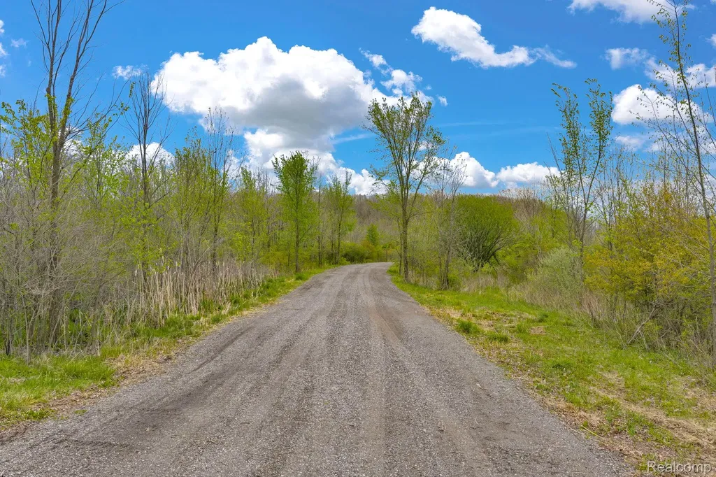 0 Martin Road Mussey Township MI 48014