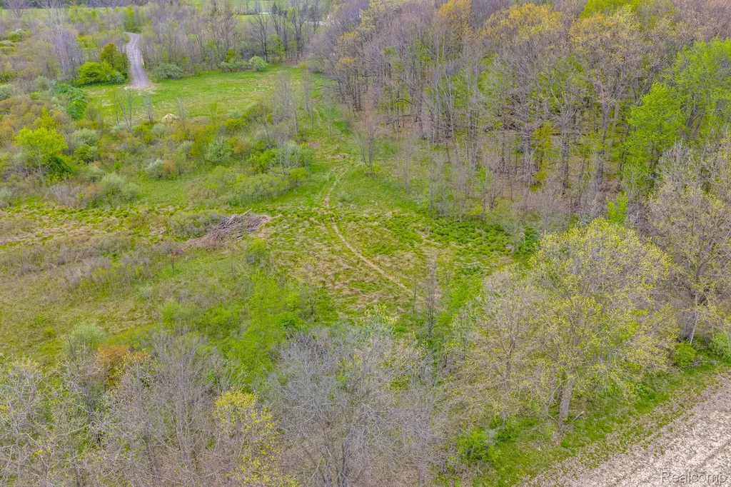 0 Martin Road Mussey Township MI 48014