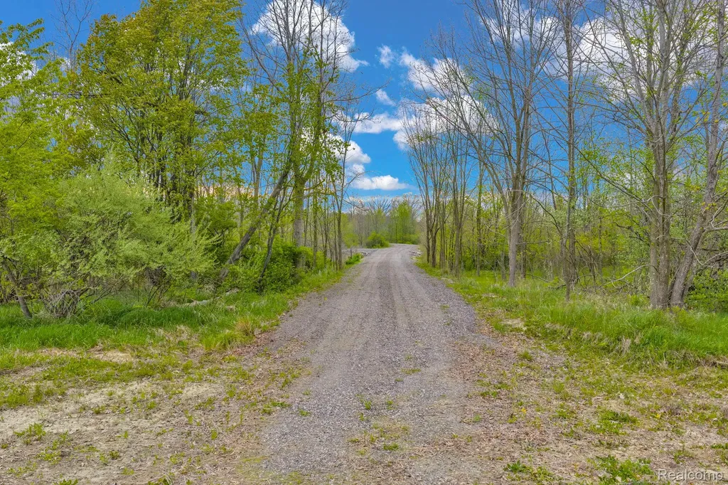 0 Martin Road Mussey Township MI 48014