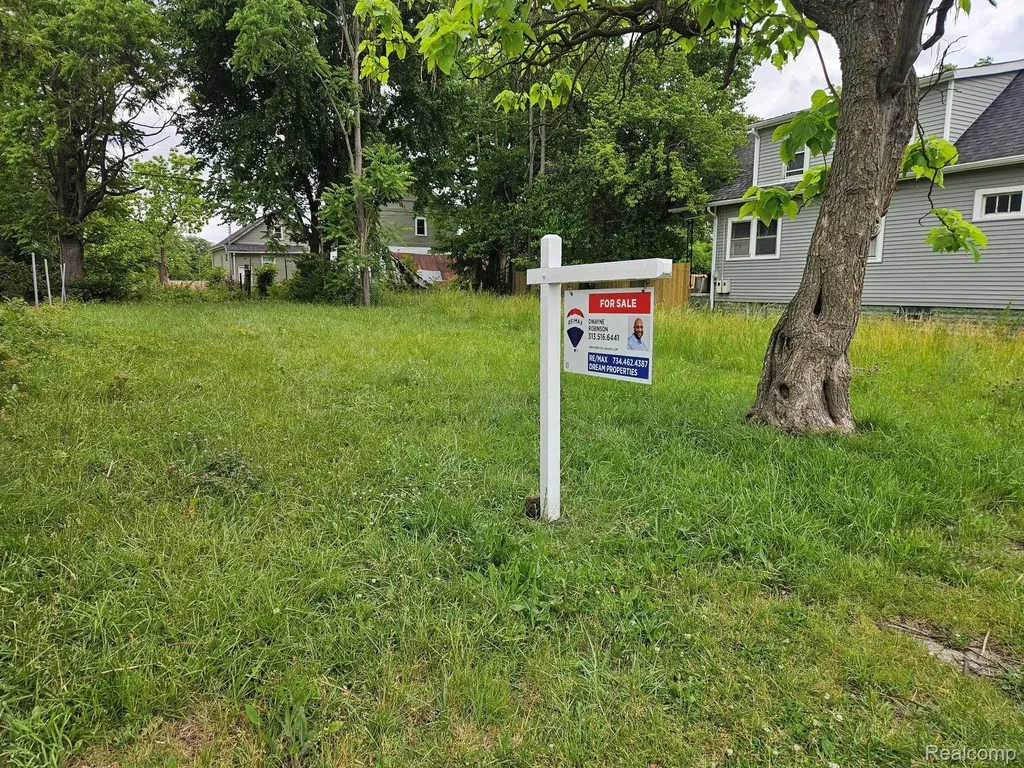 13894 Mackay Street Hamtramck City MI 48212