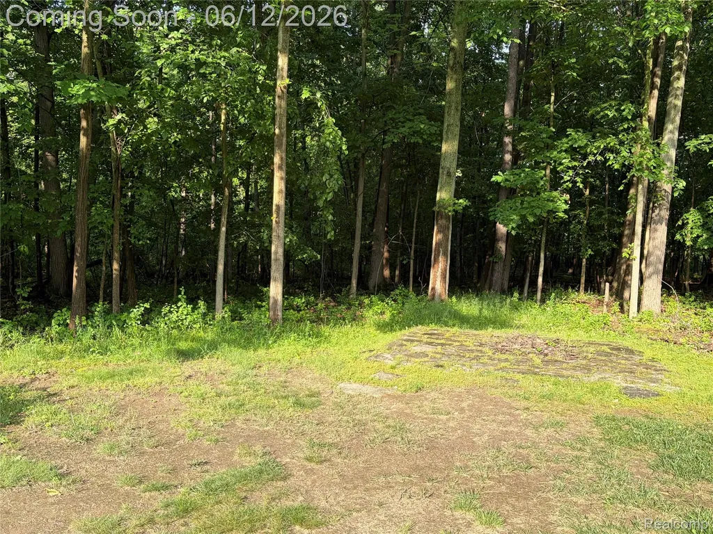 490 Cove View Drive Waterford Charter Township MI 48327