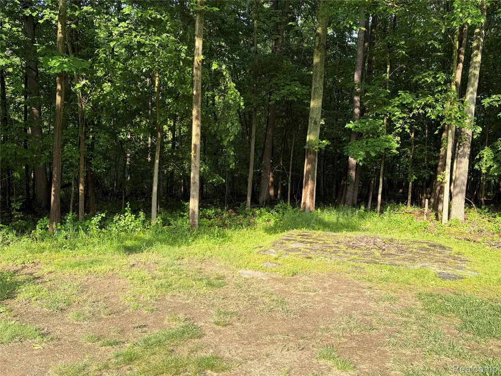 490 Cove View Drive Waterford Charter Township MI 48327
