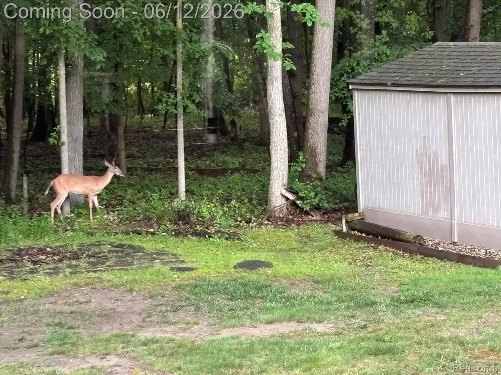 490 Cove View Drive Waterford Charter Township MI 48327