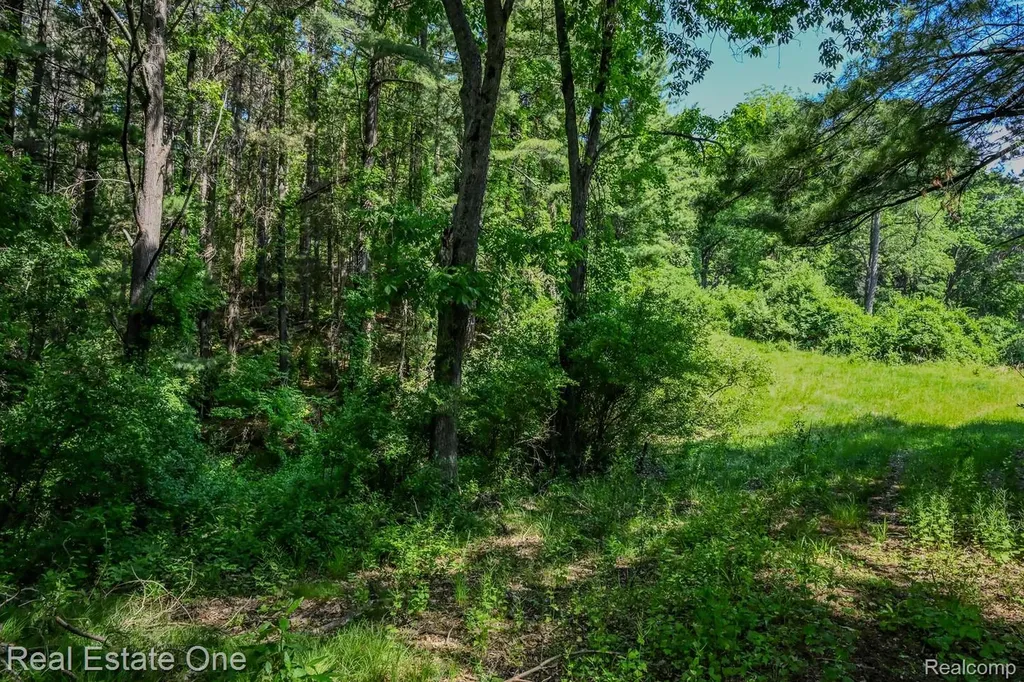 1832 W Commerce Road Milford Charter Township MI 48380