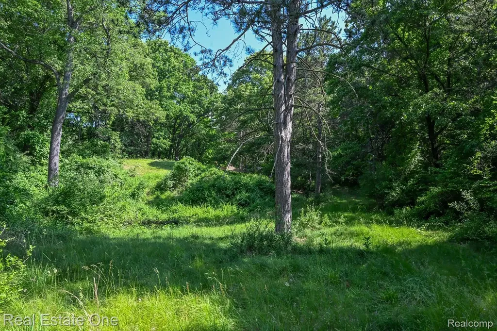 1832 W Commerce Road Milford Charter Township MI 48380