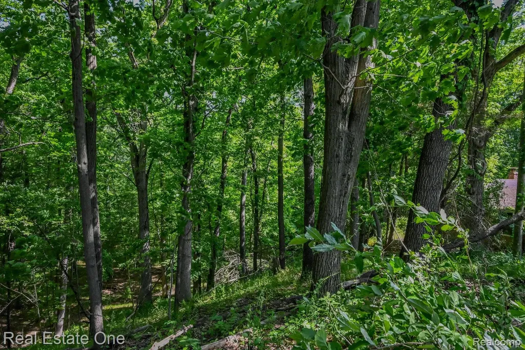 1832 W Commerce Road Milford Charter Township MI 48380