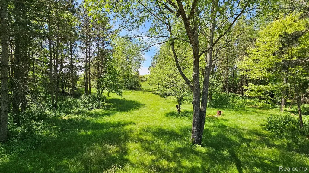 6790 Hinchey Road Putnam Township MI 48169