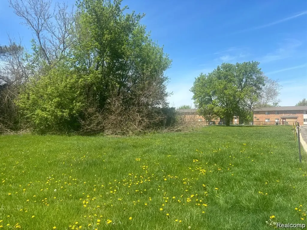 0000 Ecorse Romulus City MI 48174