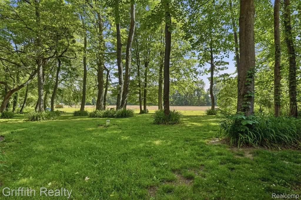 260 Ellsworth Lake Drive Lyndon Township MI 48137