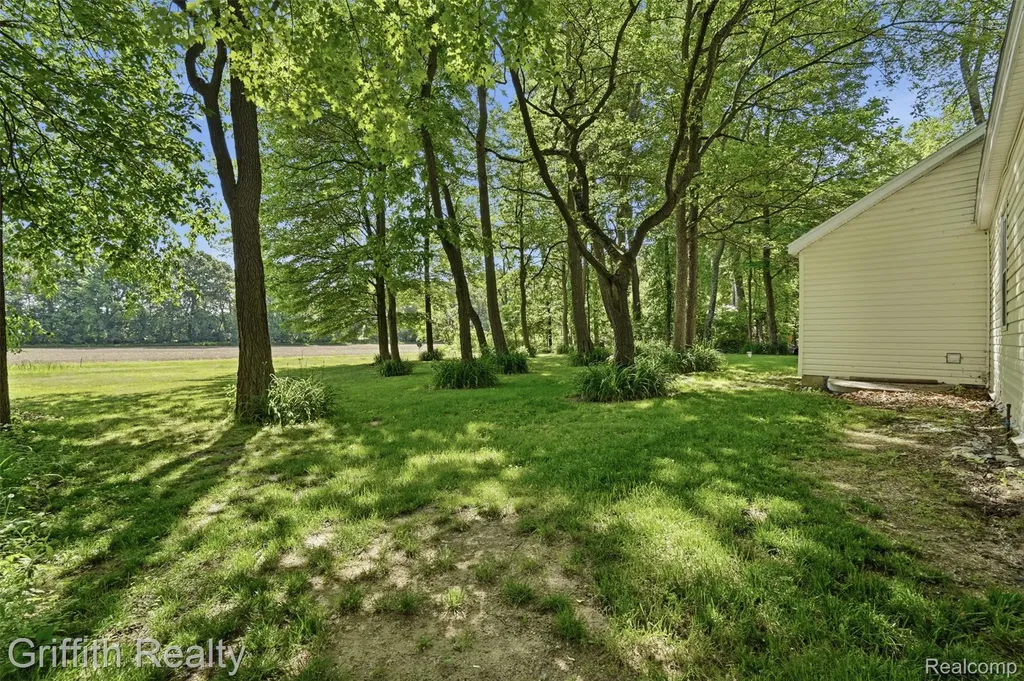 260 Ellsworth Lake Drive Lyndon Township MI 48137