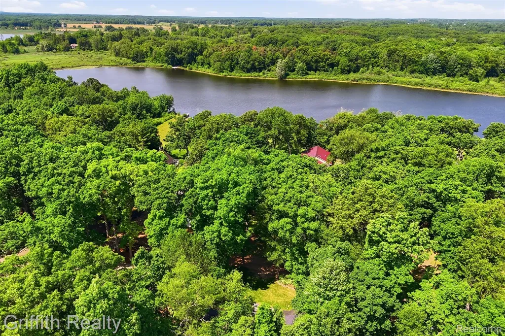 260 Ellsworth Lake Drive Lyndon Township MI 48137