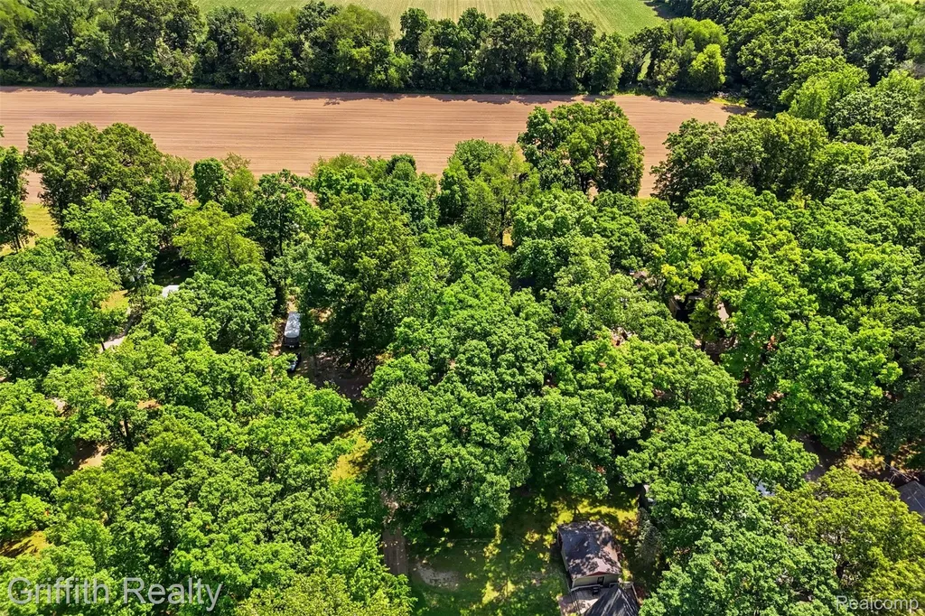 260 Ellsworth Lake Drive Lyndon Township MI 48137