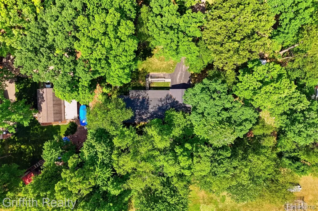 260 Ellsworth Lake Drive Lyndon Township MI 48137