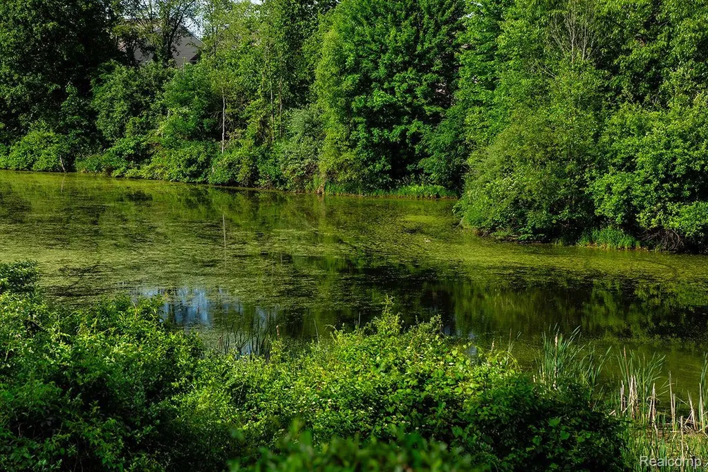 613 Zion Court Oceola Township MI 48843