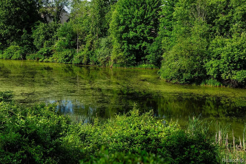 613 Zion Court Oceola Township MI 48843