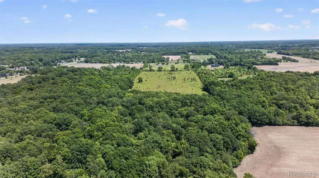 0 N Webster Road Mt. Morris Township MI 48458