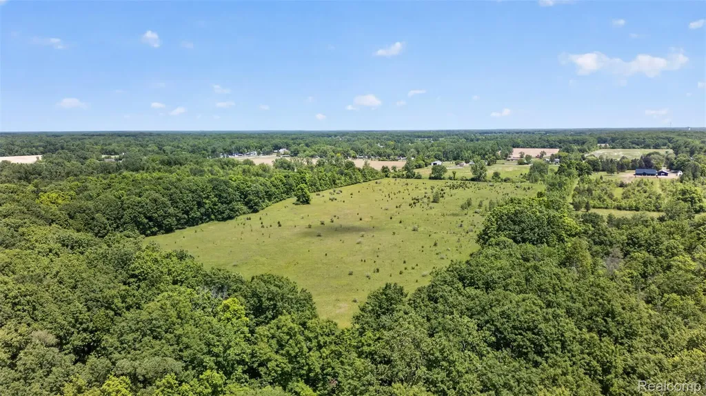 0 N Webster Road Mt. Morris Township MI 48458