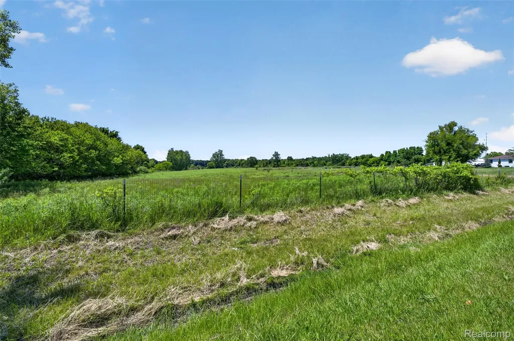 0 N Webster Road Mt. Morris Township MI 48458