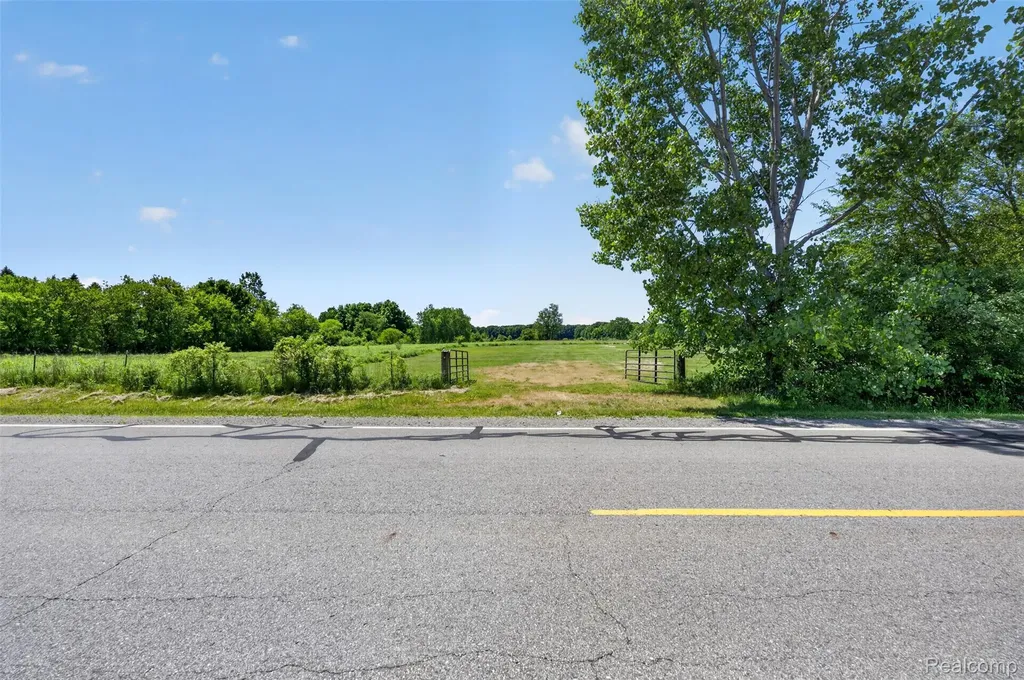 0 N Webster Road Mt. Morris Township MI 48458