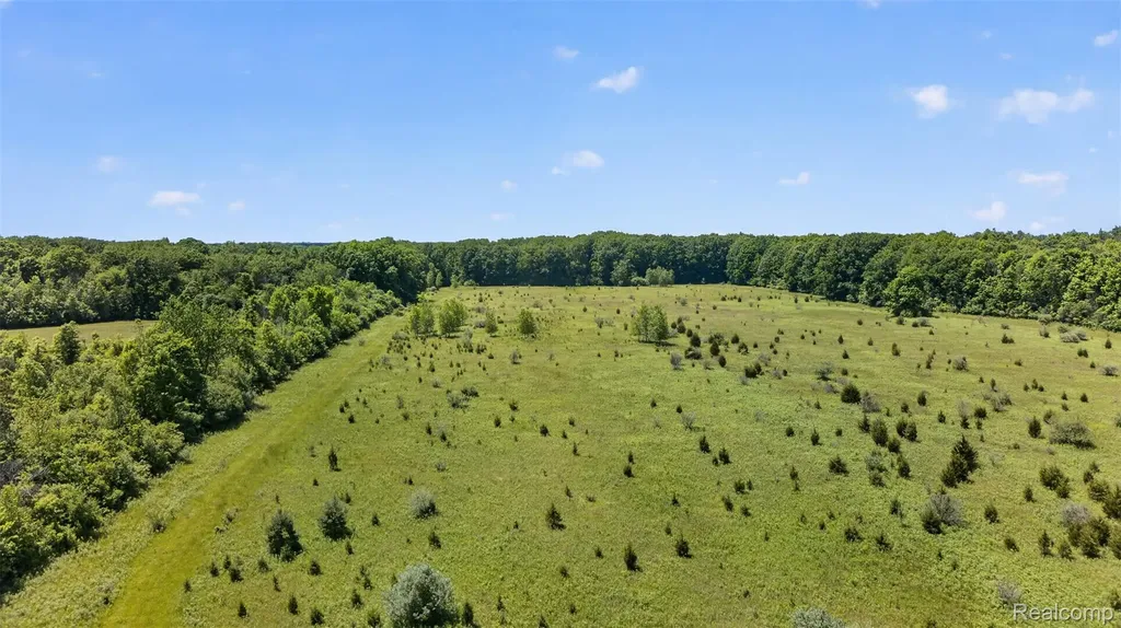 0 N Webster Road Mt. Morris Township MI 48458