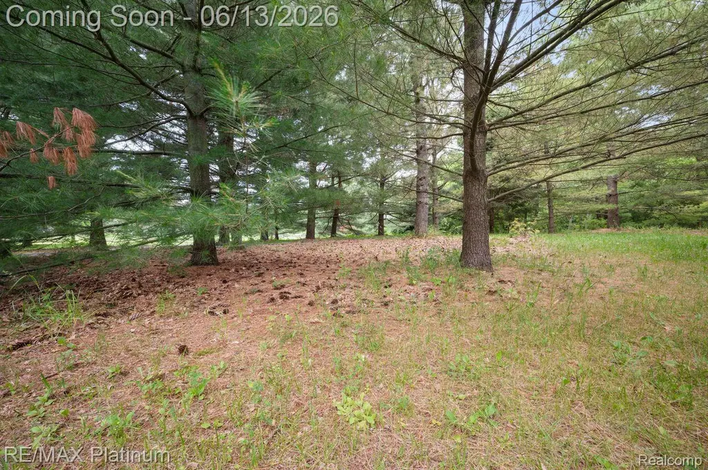 12902 Autumn Ridge Court Brighton Township MI 48380