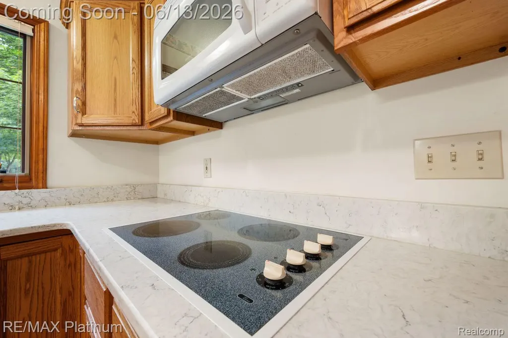 12902 Autumn Ridge Court Brighton Township MI 48380