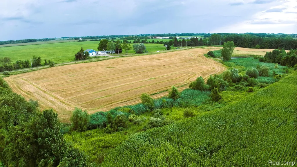 Vl Custer Road Sanilac Township MI 48419
