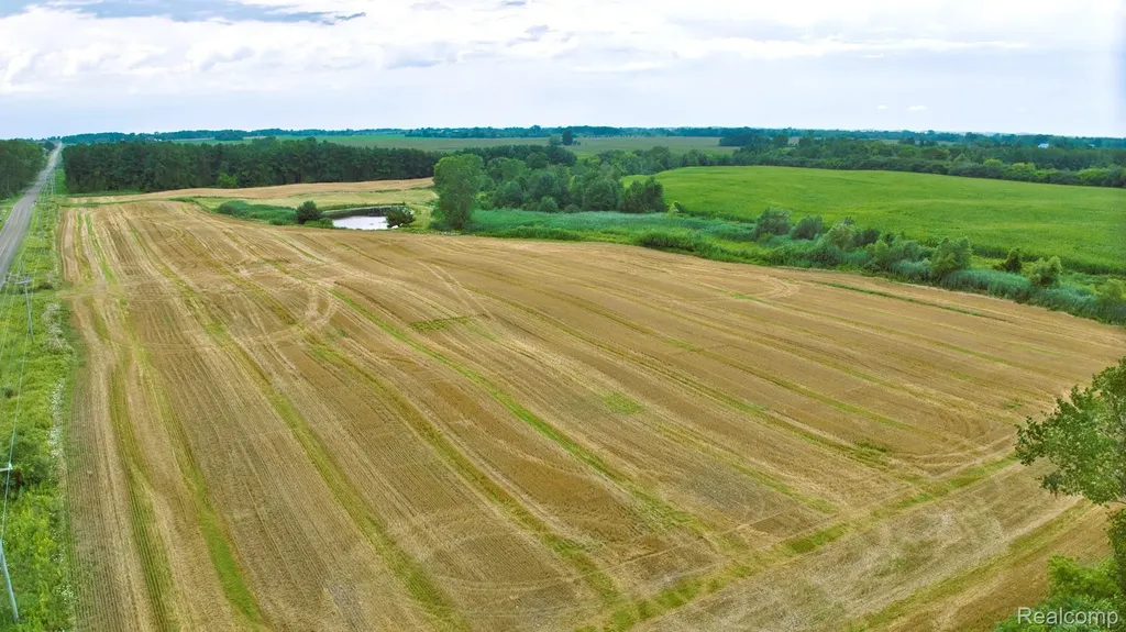 Vl Custer Road Sanilac Township MI 48419