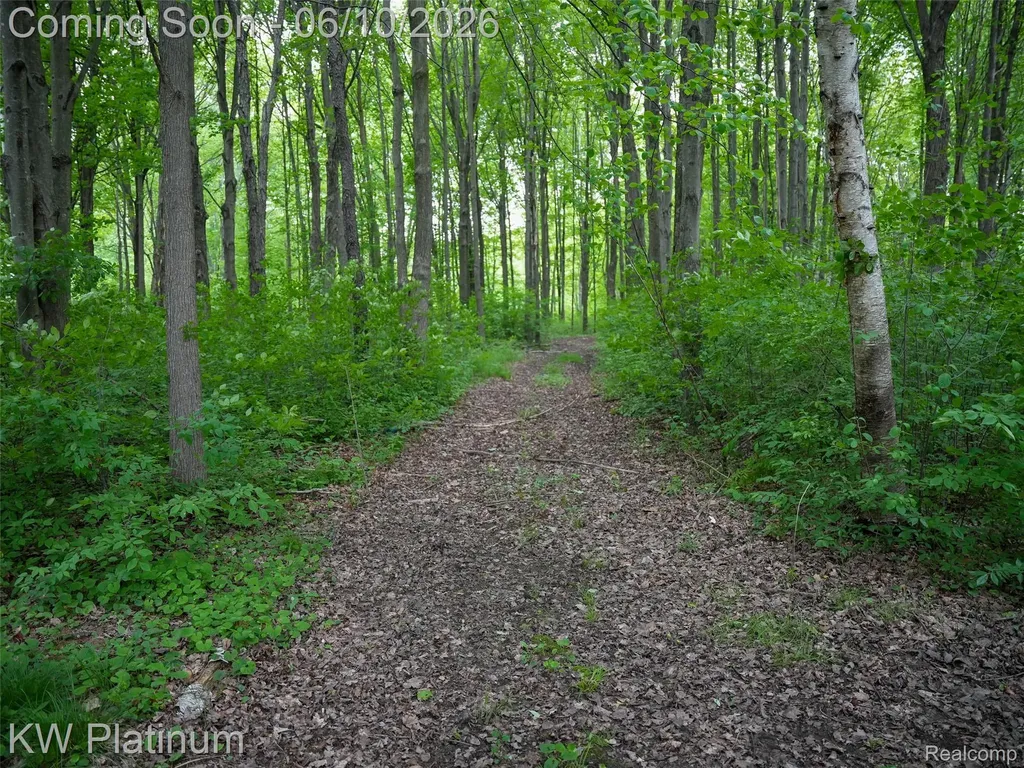 5324 Ravenswood Road Kimball Township MI 48074