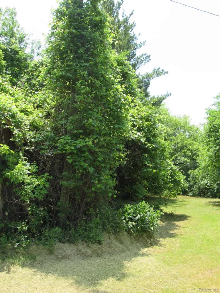 695 W Cass Avenue Road Portsmouth Charter Township MI 48708