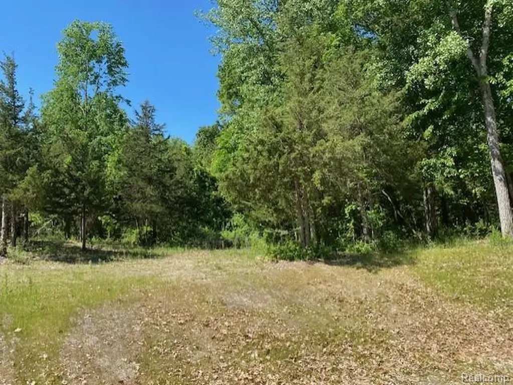 Lot 5 Dollar Ridge Lane Green Oak Township MI 48178